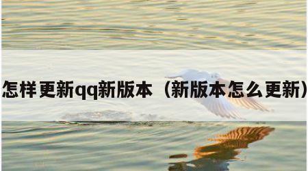 怎样更新qq新版本（新版本怎么更新）