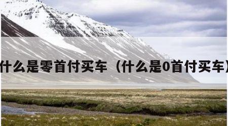 什么是零首付买车（什么是0首付买车）