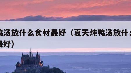 炖鸭汤放什么食材最好（夏天炖鸭汤放什么食材最好）