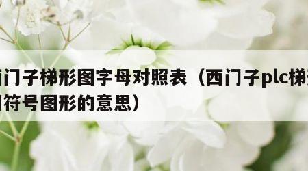 西门子梯形图字母对照表（西门子plc梯形图符号图形的意思）