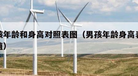 男孩年龄和身高对照表图（男孩年龄身高表标准值）