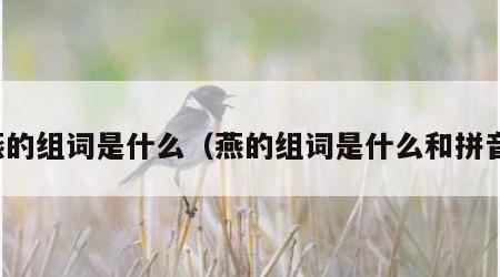 燕的组词是什么（燕的组词是什么和拼音）