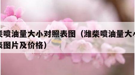 潍柴喷油量大小对照表图（潍柴喷油量大小对照表图片及价格）