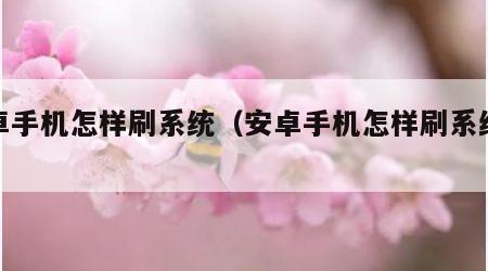安卓手机怎样刷系统（安卓手机怎样刷系统教程）