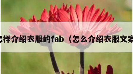 怎样介绍衣服的fab（怎么介绍衣服文案）
