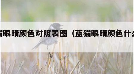 蓝猫眼睛颜色对照表图（蓝猫眼睛颜色什么最好）