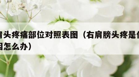 右肩头疼痛部位对照表图（右肩膀头疼是什么原因怎么办）