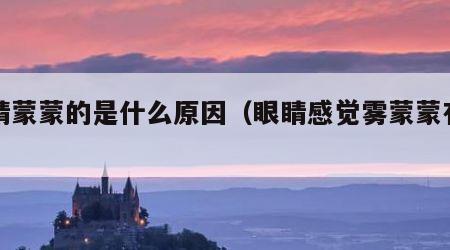 眼睛蒙蒙的是什么原因（眼睛感觉雾蒙蒙有层膜）