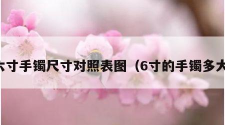 六寸手镯尺寸对照表图（6寸的手镯多大）