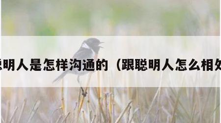 聪明人是怎样沟通的（跟聪明人怎么相处）