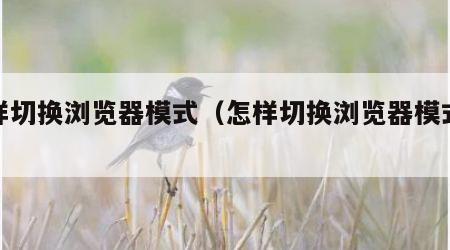 怎样切换浏览器模式（怎样切换浏览器模式电脑）