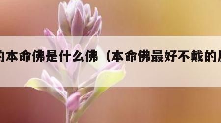 马的本命佛是什么佛（本命佛最好不戴的原因）