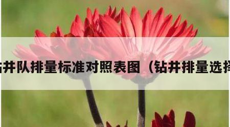 钻井队排量标准对照表图（钻井排量选择）