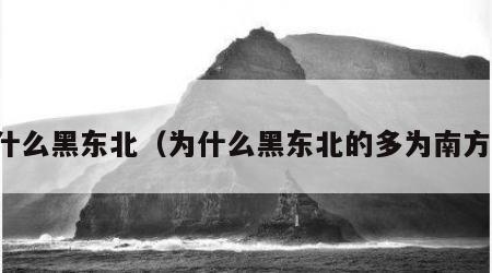 为什么黑东北（为什么黑东北的多为南方人）