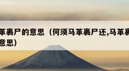 马革裹尸的意思（何须马革裹尸还,马革裹尸的意思）