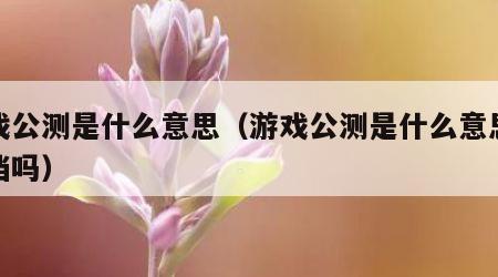 游戏公测是什么意思（游戏公测是什么意思会删档吗）