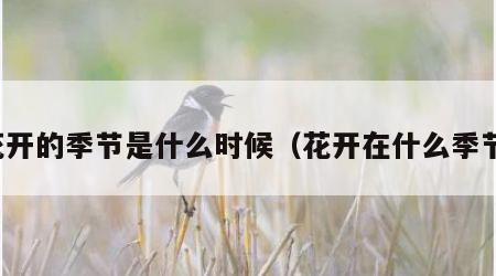 花开的季节是什么时候（花开在什么季节）