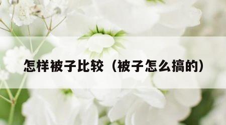 怎样被子比较（被子怎么搞的）