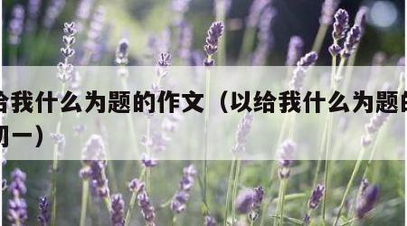 以给我什么为题的作文（以给我什么为题的作文初一）
