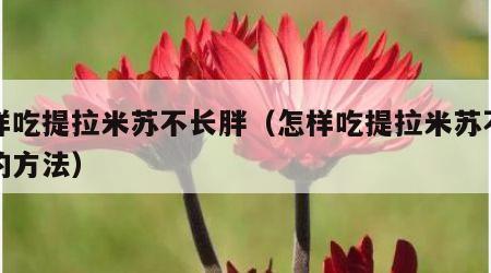 怎样吃提拉米苏不长胖（怎样吃提拉米苏不长胖的方法）