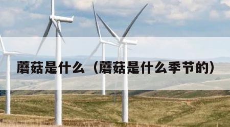 蘑菇是什么（蘑菇是什么季节的）