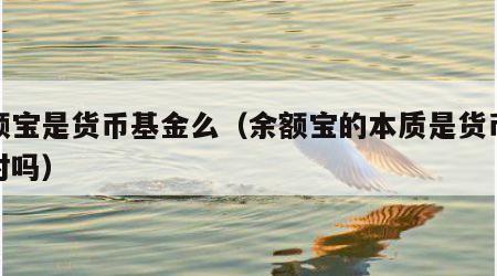 余额宝是货币基金么（余额宝的本质是货币基金对吗）
