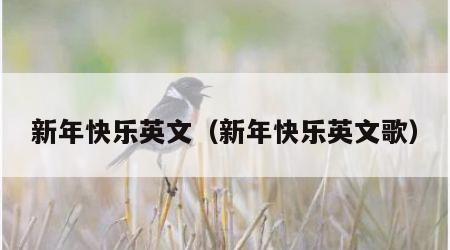 新年快乐英文（新年快乐英文歌）
