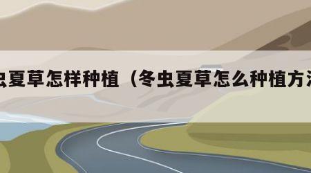 冬虫夏草怎样种植（冬虫夏草怎么种植方法视频）