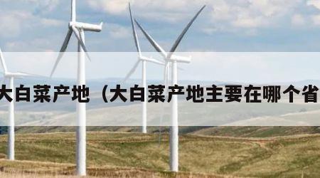 大白菜产地（大白菜产地主要在哪个省）