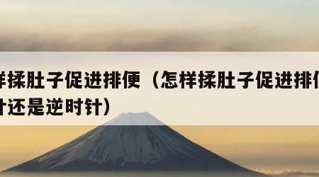 怎样揉肚子促进排便（怎样揉肚子促进排便顺时针还是逆时针）