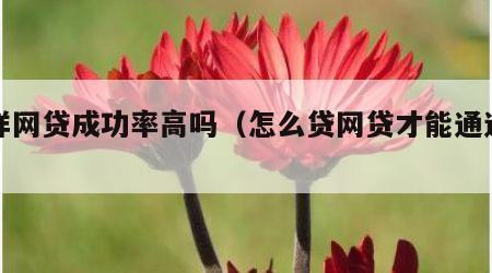怎样网贷成功率高吗（怎么贷网贷才能通过率高）