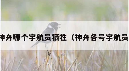 神舟哪个宇航员牺牲（神舟各号宇航员）