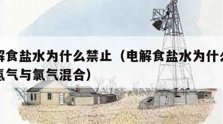 电解食盐水为什么禁止（电解食盐水为什么禁止氢气与氯气混合）