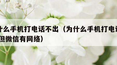 为什么手机打电话不出（为什么手机打电话不出,但微信有网络）