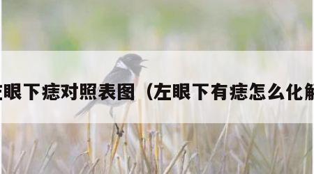 左眼下痣对照表图（左眼下有痣怎么化解）