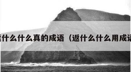 返什么什么真的成语（返什么什么用成语）