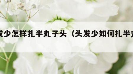 头发少怎样扎半丸子头（头发少如何扎半丸子头）