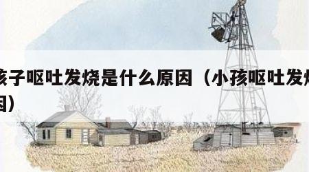 小孩子呕吐发烧是什么原因（小孩呕吐发烧的原因）