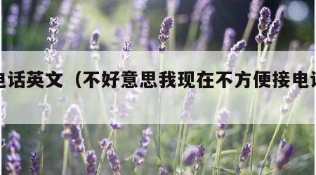 接电话英文（不好意思我现在不方便接电话英文）