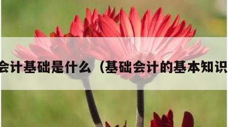 会计基础是什么（基础会计的基本知识）