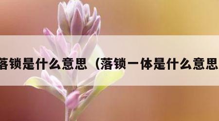 落锁是什么意思（落锁一体是什么意思）