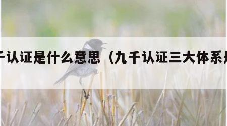 九千认证是什么意思（九千认证三大体系是什么）