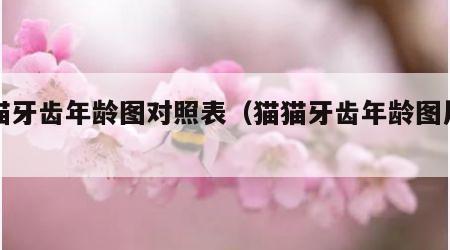 小猫牙齿年龄图对照表（猫猫牙齿年龄图片详细）