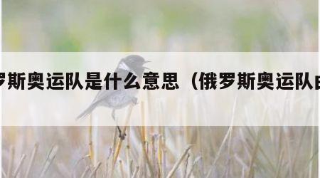 俄罗斯奥运队是什么意思（俄罗斯奥运队由来）