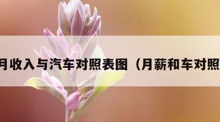 月收入与汽车对照表图（月薪和车对照）