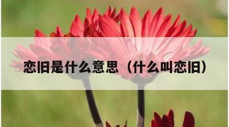 恋旧是什么意思（什么叫恋旧）