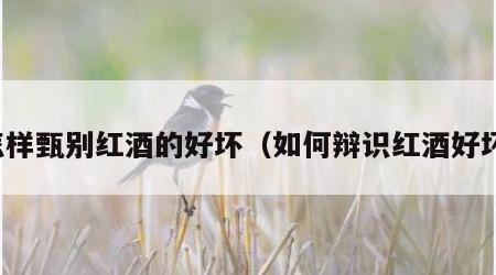 怎样甄别红酒的好坏（如何辩识红酒好坏）