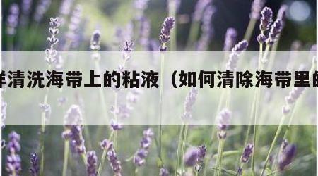 怎样清洗海带上的粘液（如何清除海带里的粘液）