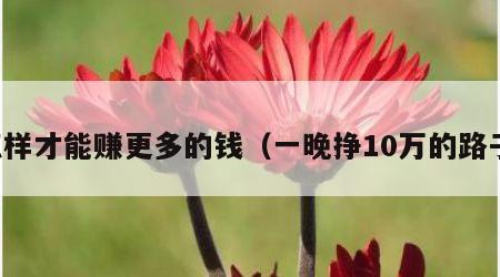 怎样才能赚更多的钱（一晚挣10万的路子）