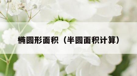 椭圆形面积（半圆面积计算）